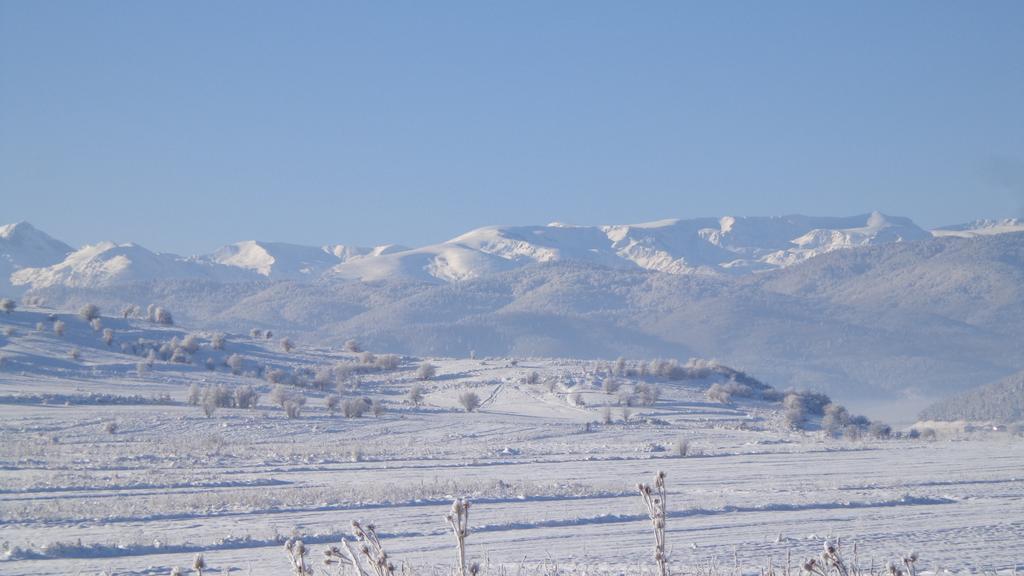 Shiroki Dol Sveti Nikola Villas Near Borovets חדר תמונה